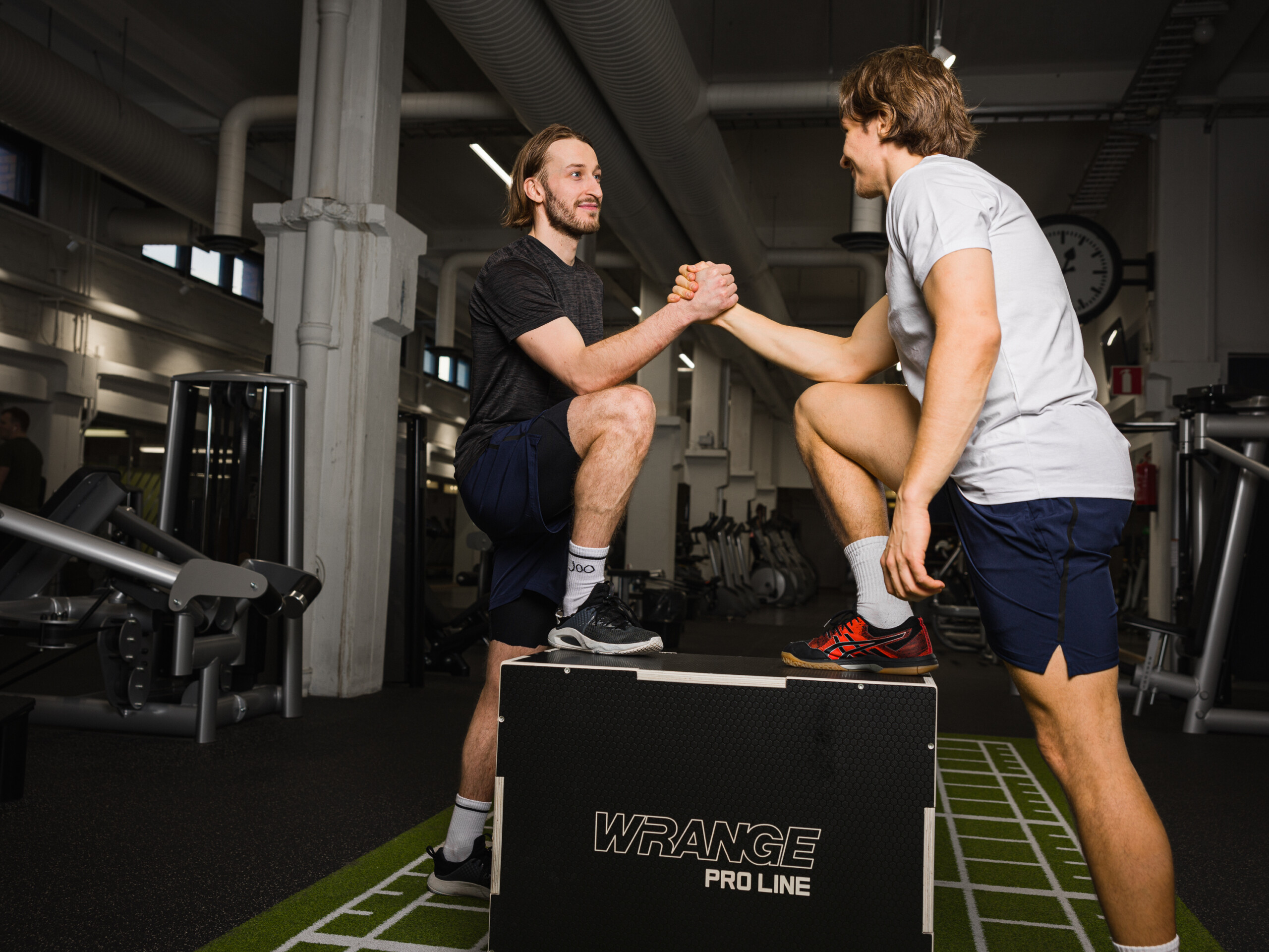 Wrange Pro Line puidust Plyo box must view 6