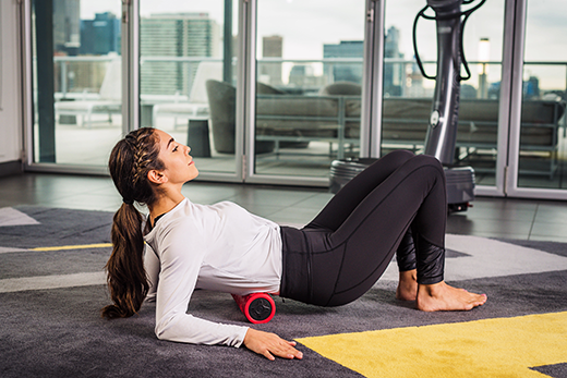 Power Plate Roller view 4