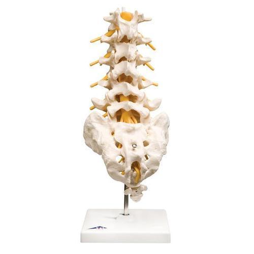 A74 Nimmeosa mudel, alusel - product image