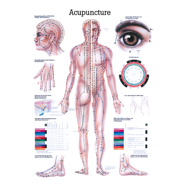 Ch10 akupunktuuripunktid, 70×100 cm - product image