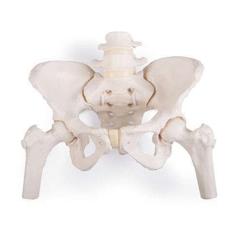 A62 Alaselg koos puusaluudega - product image