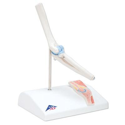 A87/1 Küünarliiges, mini - product image