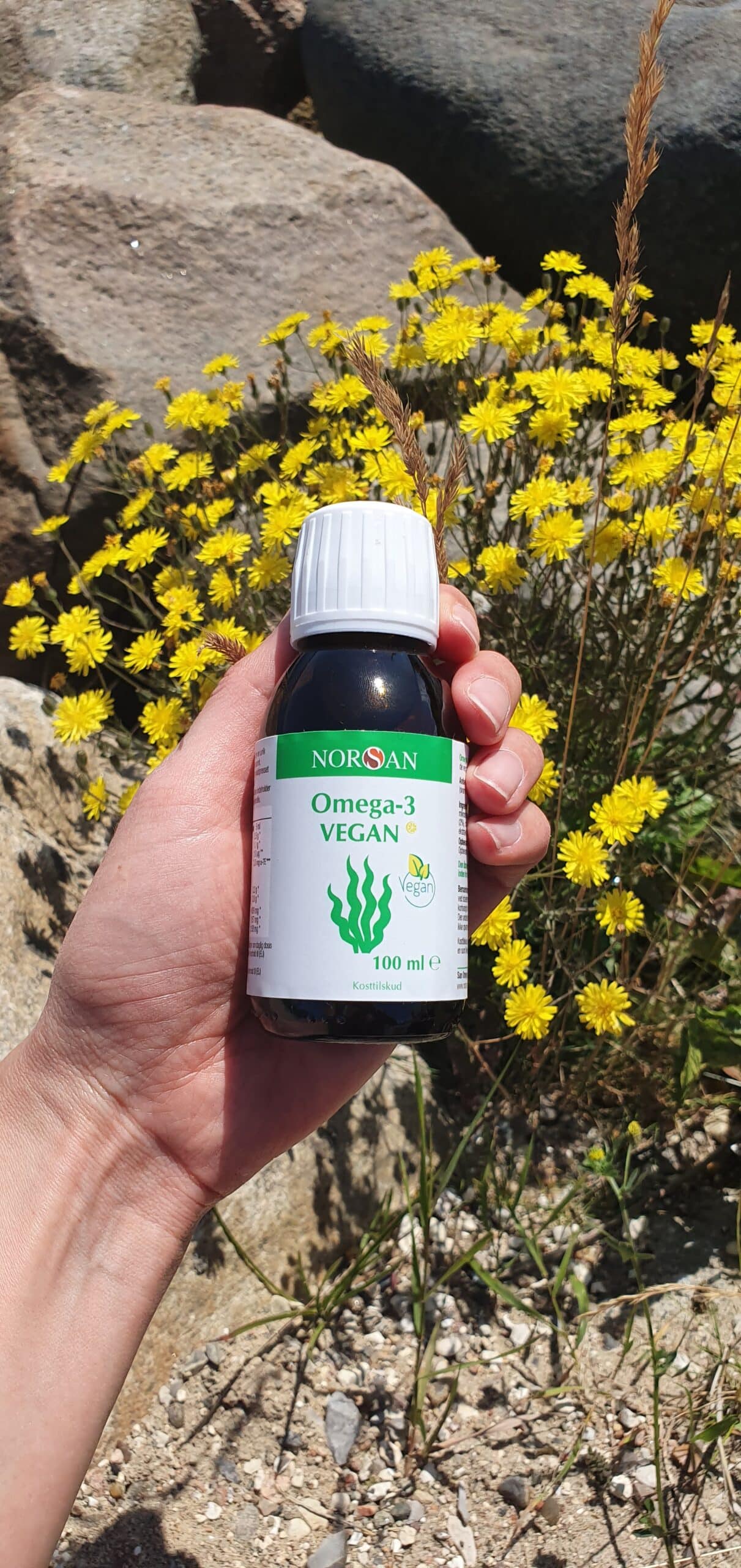 Omega-3 Vegan, õli, 3×100 ml — Capsules view 5