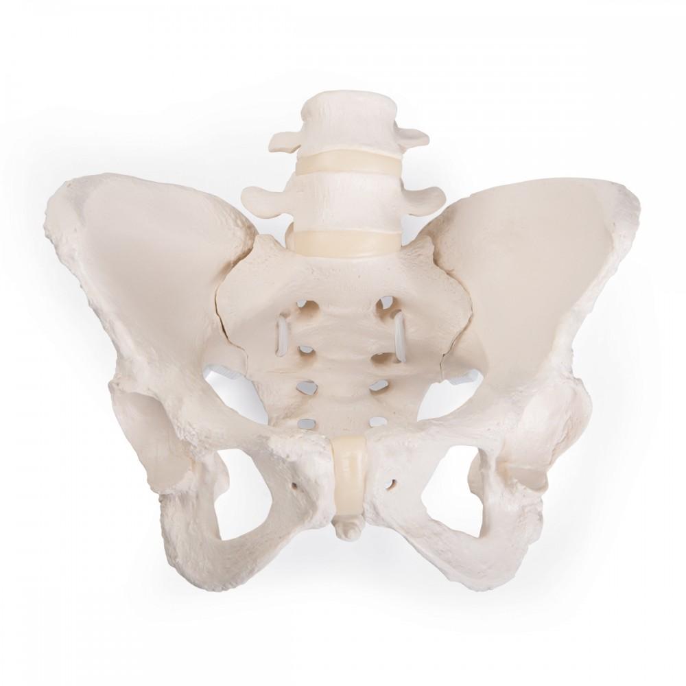 A61/1 Naiste vaagen - product image