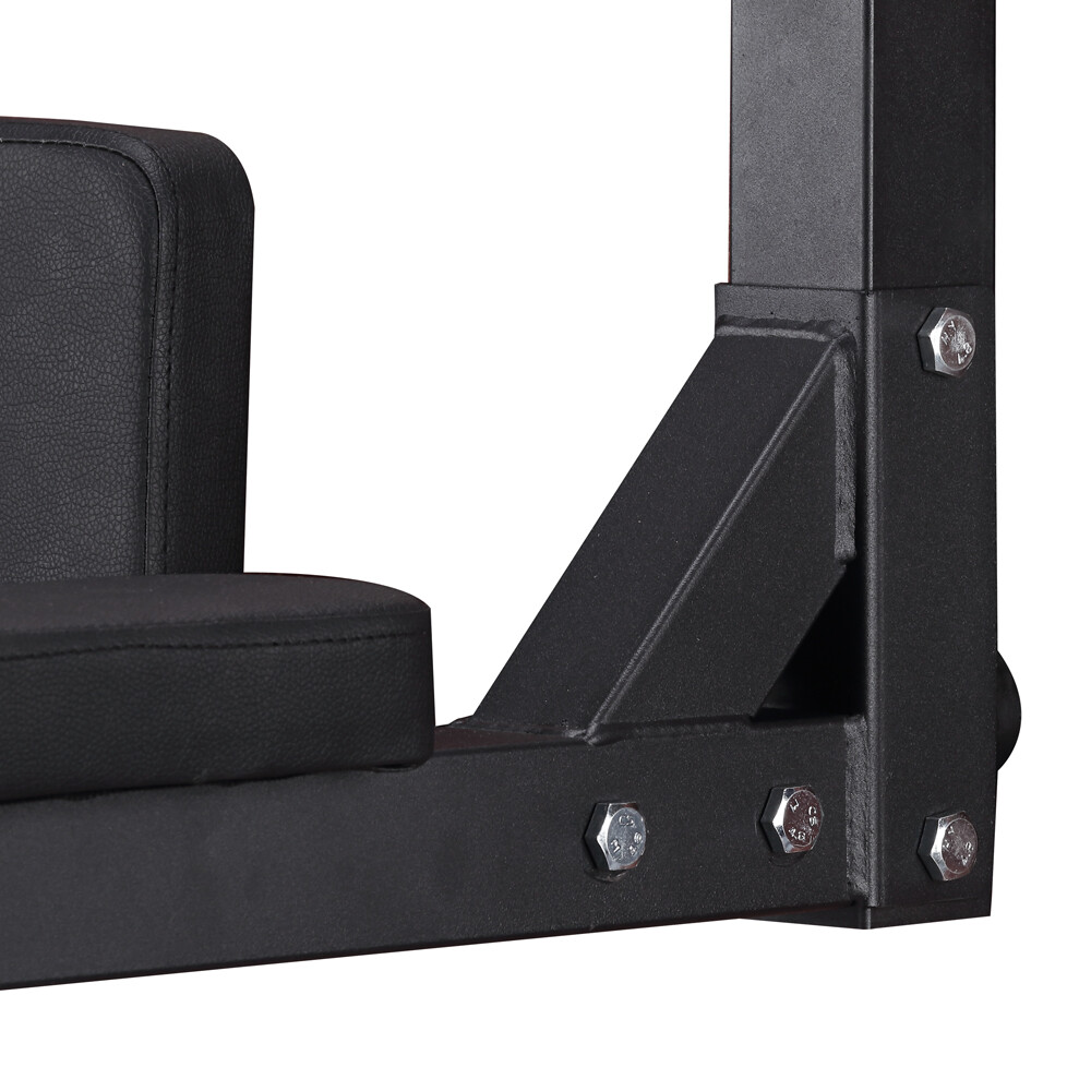 Lõuatõmbekang Wall-Mounted Pull-Up Bar inSPORTline L-Bar — Apple view 6