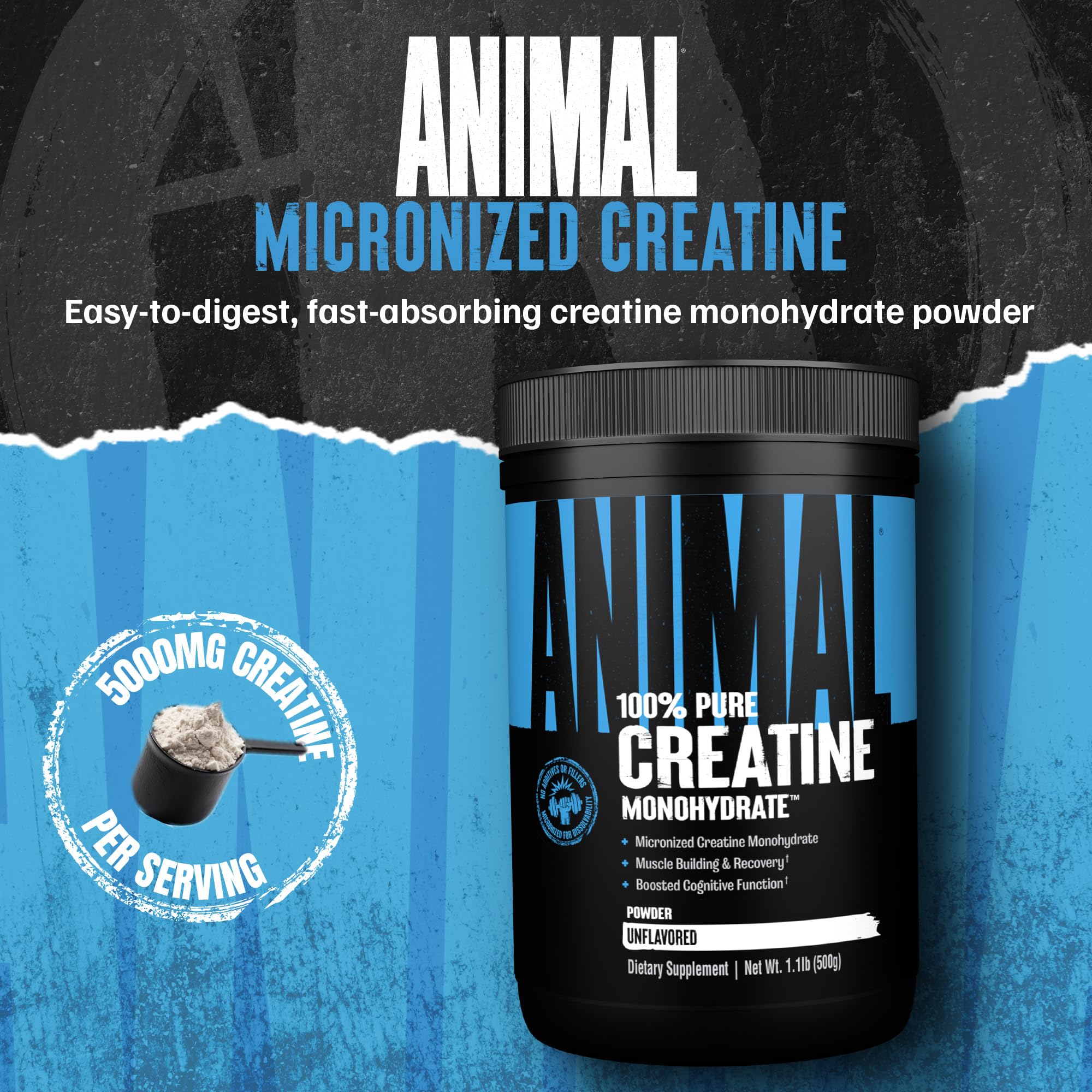 Universal Animal Creatine 500g — Powder view 2