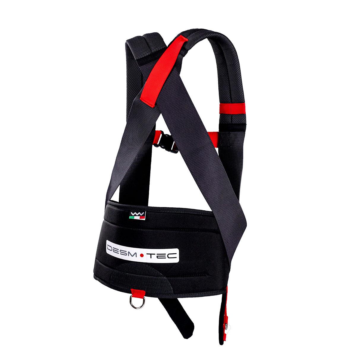 Desmotec rakmed suurus L