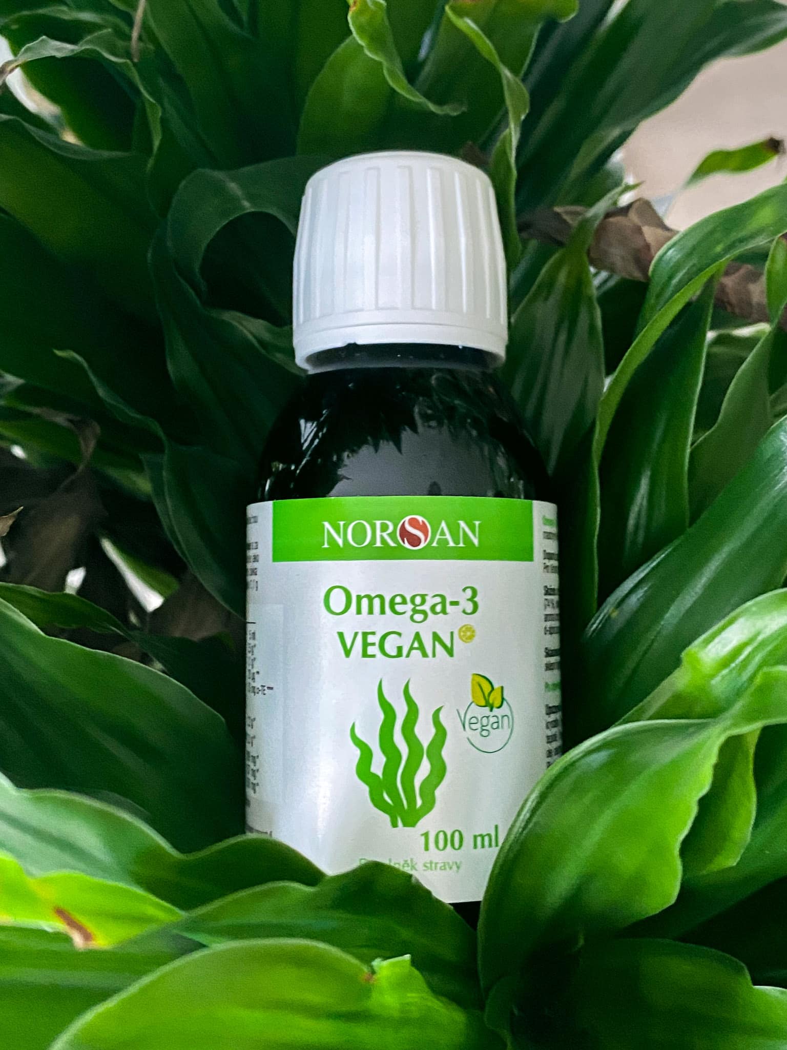 Omega-3 Vegan, õli, 100 ml — Capsules view 6
